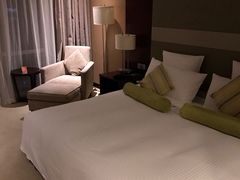 -南桥绿地铂骊酒店