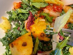 -Wagas沃歌斯(汇智店)