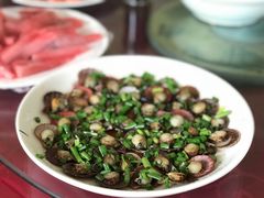 -南麂列岛