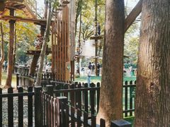 -WeLope紫金山探险公园
