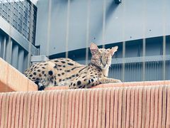 -北京野生动物园