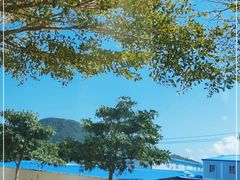 -亚龙湾国际玫瑰谷