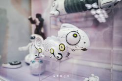-kidsland(颐堤港店)