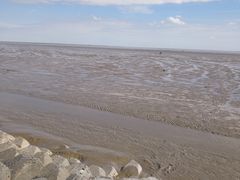 -南汇嘴观海公园