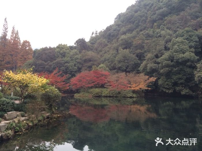 九溪烟树九溪烟树图片