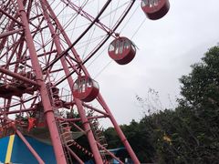 -南湖梦幻岛