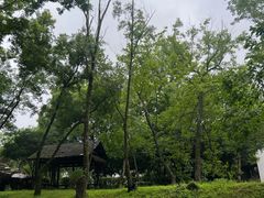 -西湖游船