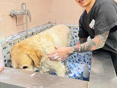 -FAELING PETS美天灵宠物(富力广场店)