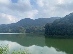 -广州市石门国家森林公园