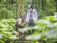 -洛阳白云山景区