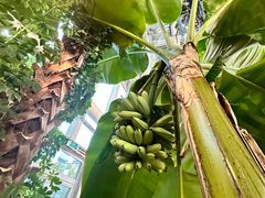 -中家鑫园温泉酒店鑫悦汤泉