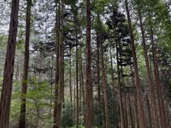 -罗田薄刀峰风景区
