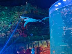 -青岛嘉年华主题乐园