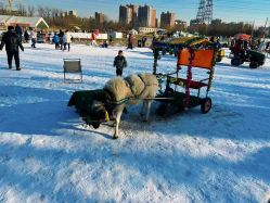 -268童话露营农场·烧烤·团建