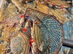 -好兄弟郭巨海鲜(天一阁店)