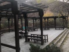-大连植物园
