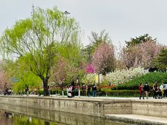 -海棠花溪(元大都城垣遗址公园)