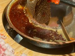 -京炭铜锅涮肉·羊蝎子·羊肉炉(保利·时光里店)