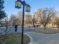-西海子公园