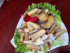 -野菌皇海景野生菌火锅(滨海大道店)