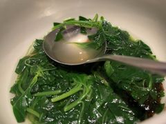 -桂满陇·海市蜃楼·黑金(国金店)