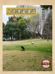-耐味林月子会所(黄兴公园店)