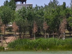 -水西公园