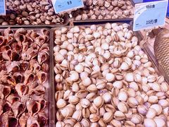 白蚬子-新隆嘉优选超市(宁山东路店)