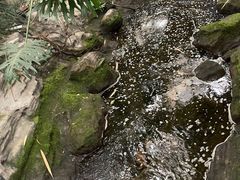 -世外桃源农庄·德清土菜(兴康南路店)