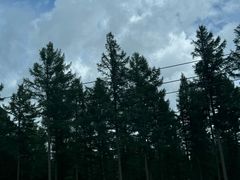 -塞罕坝国家级自然保护区