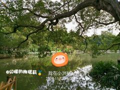 -小洲村