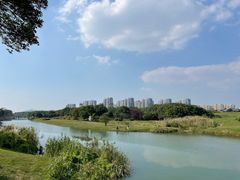 -苏州太湖湖滨国家湿地公园