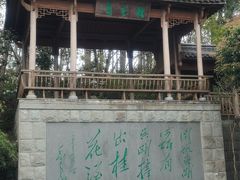 -千岛湖东南湖区