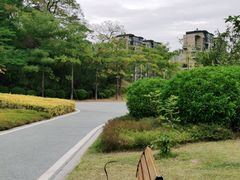 -飞凤山奥体公园