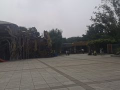 -南戴河国际娱乐中心