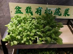 -虾佬圣汤