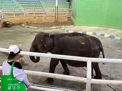 -大连森林动物园