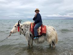 -青海湖国家重点风景名胜区