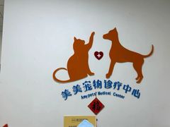 -美美宠物诊疗中心·异宠·骨科(滨江东信分院)