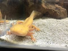 -梦幻海洋王国(吾悦广场张家港店)