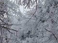 -九峰山