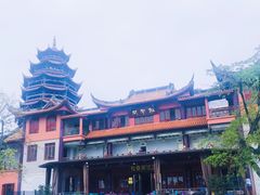 -铁山坪森林公园