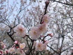 -杭州植物园