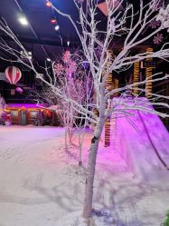 -圣名游乐城冰雪大世界