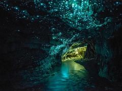 -怀托摩萤火虫洞