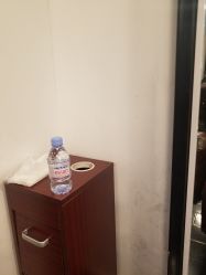 -Tipo Hair salon（明星）店