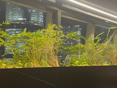 -柿合缘新京菜(国金中心商场店)