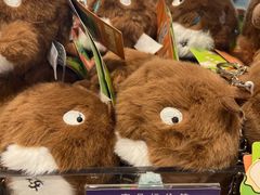 -敦煌莫高国际机场