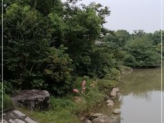 -上海海湾国家森林公园