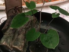 -宴昆山·私房菜(春晖店)